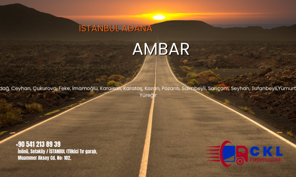 İstanbul Adana Ambar